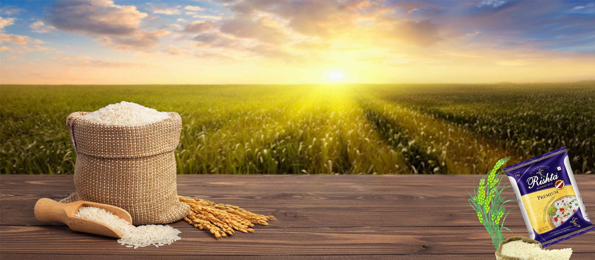 New Risgta Agro Ltd