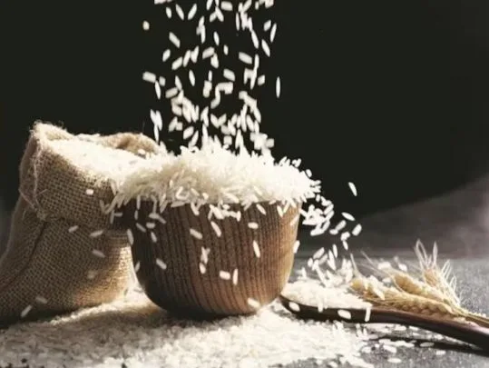 Best Quality Basmati Rice