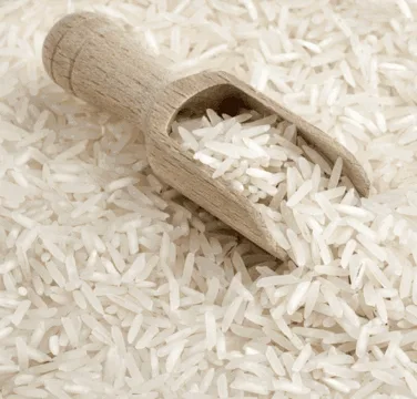 top exporter of indian pusa basmati rice