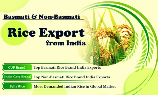 How to Choose the Right Rice Supplier: A Guide for International Buyers